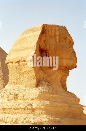 Fotografia di viaggio - la Sfinge alle Piramidi di Giza al Cairo in Egitto in Nord Africa Medio Oriente Foto Stock