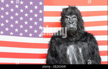 Ritratto di giovane uomo vestito in costume di gorilla contro bandiera americana Foto Stock