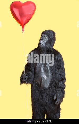 Giovane uomo vestito in costume da gorilla guardando il pallone a forma di cuore che si erge su sfondo giallo Foto Stock