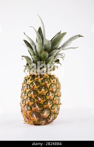 Ananas su sfondo bianco Foto Stock