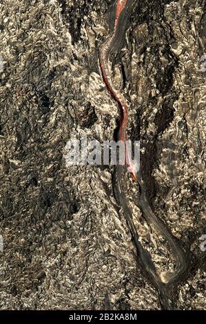 Uno sguardo da vicino alla lava dal vivo che scorre lungo il cratere di Big Island, come visto da un elicottero a porta aperta Foto Stock