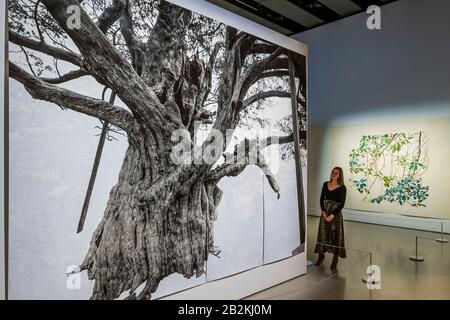 Hayward Gallery, Londra, Regno Unito. 3rd Mar 2020. Tacita Dean, Crowhurst II, 2007 - Tra Gli Alberi della Hayward Gallery, una nuova mostra che reinventa come pensiamo agli alberi e alle foreste, e come hanno plasmato la civiltà umana. A cura di Hayward Gallery Director, Ralph Rugoff, lo spettacolo include foreste pluviali colombiane, giungle in Giappone, oliveti in Israele, boschi scandinavi e una foresta sotterranea in Sud Africa. È Attivo Dal 4 Marzo Al 17 Maggio 2020. Credito: Guy Bell/Alamy Live News Foto Stock