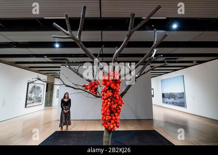 Hayward Gallery, Londra, Regno Unito. 3rd Mar 2020. Anya Gallaccio, perché non ho potuto fermarmi, 2002 - Tra Gli Alberi della Hayward Gallery, una nuova mostra che riimmagina come pensiamo agli alberi e alle foreste, e come hanno plasmato la civiltà umana. A cura di Hayward Gallery Director, Ralph Rugoff, lo spettacolo include foreste pluviali colombiane, giungle in Giappone, oliveti in Israele, boschi scandinavi e una foresta sotterranea in Sud Africa. È Attivo Dal 4 Marzo Al 17 Maggio 2020. Credito: Guy Bell/Alamy Live News Foto Stock