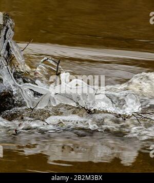 ghiaccio che copre piccoli ramoscelli in un torrente, stribro Foto Stock