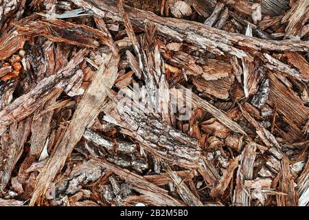 Frammenti di corteccia di albero sul terreno. Segheria. Sfondo ecologico. Primo piano a schermo intero Foto Stock