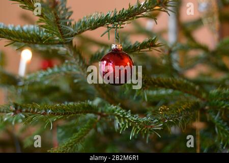 Weihnachtsbaum, Kugel Foto Stock