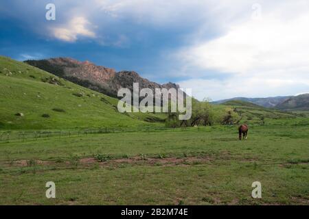 Un cielo in contrasto nel tardo pomeriggio sulle Montagne Rocciose del Colorado con un cavallo marrone lone che pascolano in un campo Foto Stock