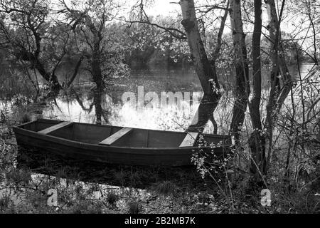 L'antico fiume Tisa scorre silenziosamente attraverso la pianura. Le barche da pesca sono legate alla riva e in attesa dei pescatori. Foto Stock