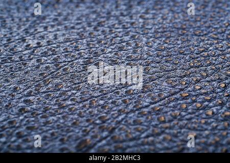 Rettili in pelle testurizzata blu, texture utilizzata per lo sfondo. Pelle di coccodrillo o di lucertola. Schermo intero, vista dall'alto Foto Stock