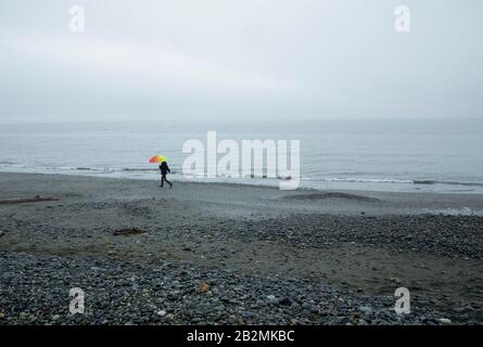 Una giornata mistrosa sulla spiaggia francese, sull'Isola di Vancouver Foto Stock