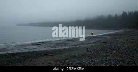 Una giornata mistrosa sulla spiaggia francese, sull'Isola di Vancouver Foto Stock