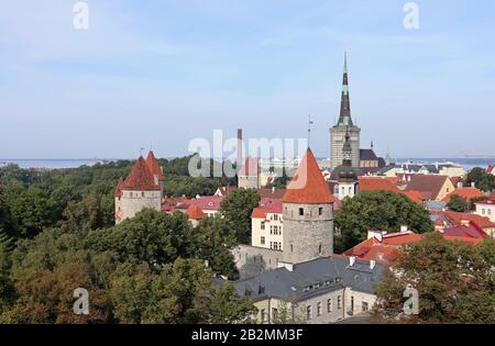 Tallinn vista della città con fortezza medievale torri della città vecchia, alberi verdi cielo blu viaggio turistico Foto Stock