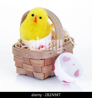 Un pulcino di Pasqua che emerge da un uovo di Pasqua giocattolo Foto Stock