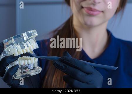 Primo piano di un medico dentista, sorridente, indossando guanti, tenendo in mano uno strumento dentale per l'esame, e un manichino di mascelle umane che mostra su t. Foto Stock