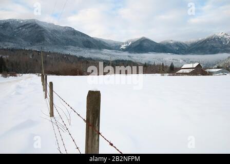 Recinzione di filo di aragia su terreno agricolo vicino al lago Errock a Mission, British Columbia, Canada Foto Stock