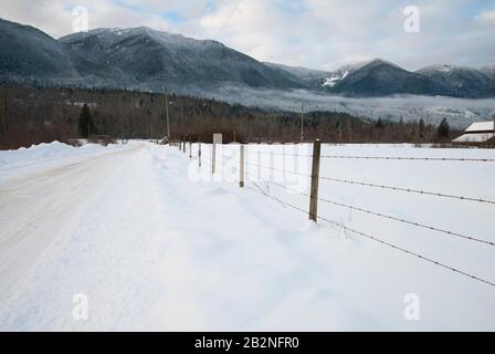 Recinzione di filo di aragia su terreno agricolo vicino al lago Errock a Mission, British Columbia, Canada Foto Stock