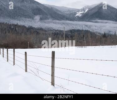 Recinzione di filo di aragia su terreno agricolo vicino al lago Errock a Mission, British Columbia, Canada Foto Stock