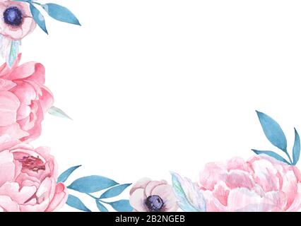 Peonie rosa e fiori di vento con foglie su sfondo bianco. Foto Stock