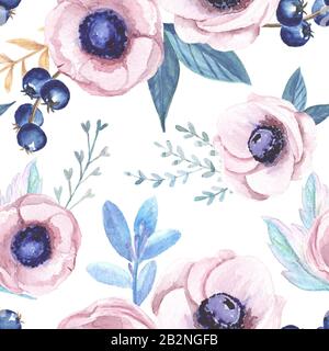 Fiore rosa del vento e ribes nero su sfondo bianco. Foto Stock