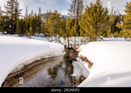 Ruscello di montagna chiaro circondato da neve con montagne e pineta sullo sfondo fuori Stanley, Idaho. Foto Stock