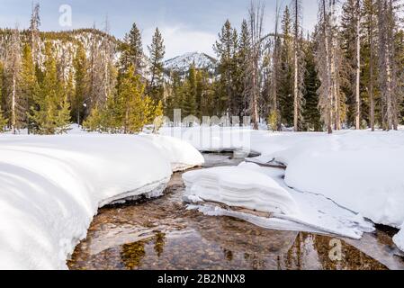 Ruscello di montagna chiaro circondato da neve con montagne e pineta sullo sfondo fuori Stanley, Idaho. Foto Stock