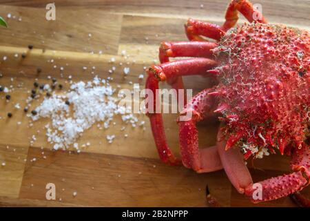 Granchio rosso ragno, deliziosa preparazione di pesce Foto Stock