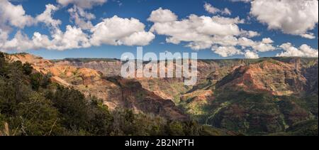 Ampio panorama delle rocce rosse del canyon di Waimea dal sentiero natura Iliau su Kauai nelle Hawaii Foto Stock