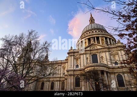 Cattedrale di St. Paul a Londra, Regno Unito. Vista serale di San Paolo dal sud della cattedrale. Vista della cupola incorniciata da alberi. Foto Stock