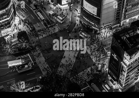 Una foto in bianco e nero del Shibuya Crossing, visto dall'alto, di notte. Foto Stock