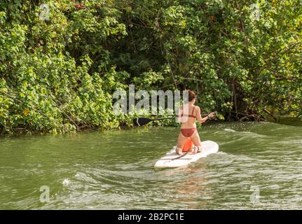 Vista posteriore della donna sul SUP paddle board mantenendo l'equilibrio come le onde dal passare la barca colpisca lei Foto Stock