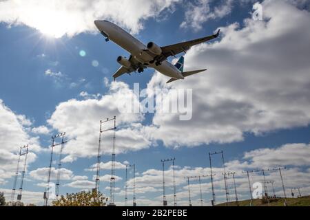 WestJet Airlines Boeing 737-8 atterra all'aeroporto internazionale Pearson di Toronto. Aeroporto nel pomeriggio soleggiato. Foto Stock