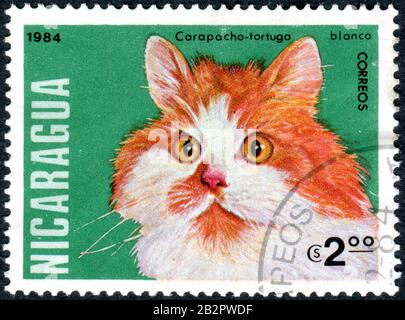 Nicaragua - CIRCA 1984: Un francobollo stampato in Nicaragua, raffigura la razza Cat Tortoiseshell White Shorthair (Felis silvestris catus), circa 1984 Foto Stock