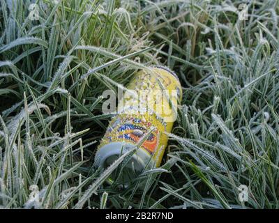 Una bevanda scartata Monster può sdraiarsi in congelato, coperto di gelo, erba, Whitehaven, Cumbria, Inghilterra, Regno Unito Foto Stock