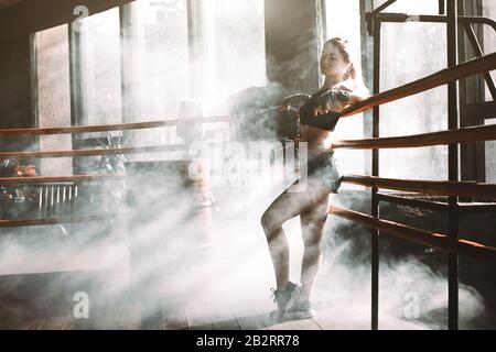 Giovane bella boxer donna in piedi sul ring. Ritratto completo del corpo di donna boxer che indossa reggiseno sportivo nero, pantaloni grigi, allenatori in piedi in anello e. Foto Stock