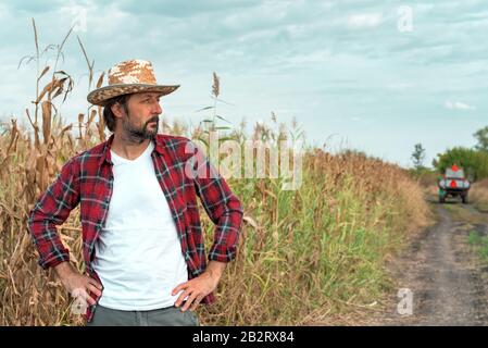 Preoccupato agricoltore di mais che guarda su campo di mais in cattive condizioni con trattori e rimorchi vuoti in background, concetto di protezione del raccolto importanza Foto Stock