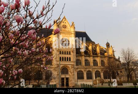 La chiesa di Saint Eustache è considerato un capolavoro del tardo gotico, Parigi, Francia. Foto Stock