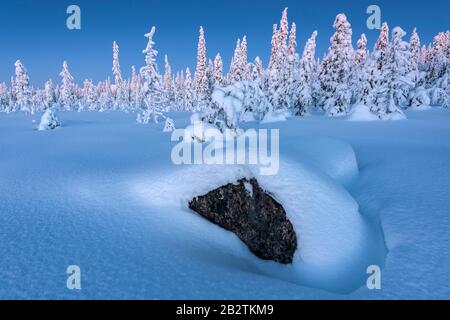 Winterlandschaft, Muddus Nationalpark, Welterbe Laponia, Norrbotten, Lappland, Schweden, Dezember 2014 Foto Stock