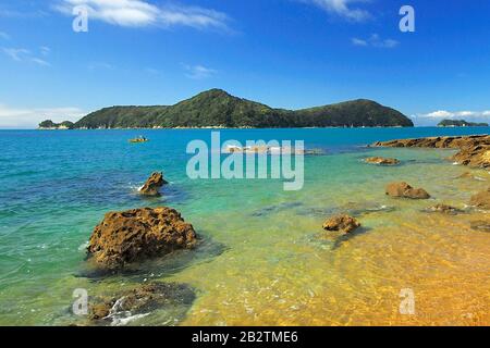 Abel Tasman Nationalpark, Tasmansee, Nelson Regione, Suedinsel Neuseeland; Februar 2007 Foto Stock