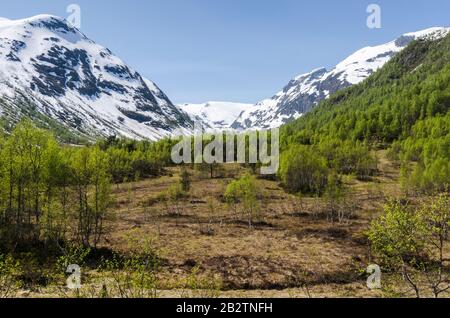 Landschaft im Gunnvordalen, Sogndal, Sogn og Fjordane Fylke, Norwegen, Mai 2012 Foto Stock