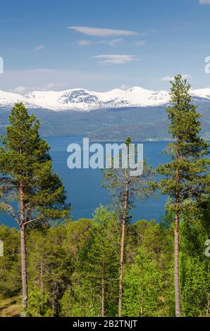 Innvikfjorden, Stryn, Sogn og Fjordane Fylke, Norwegen, Mai 2012 Foto Stock