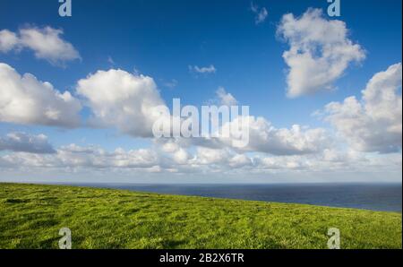 prato con erba verde e nuvole sul mare Foto Stock