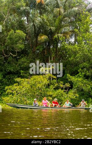 Pioneer Pesca Leggendario Piranha Cattura In Ecuadoriana Amazonian Primary Forestry Foto Stock