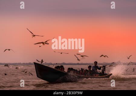 Lago Inle, Myanmar - Febbraio 2020: Barca a coda lunga con la gente locale di Intha seguita da un gregge di gabbiani. Scena idilliaca, barca veloce in movimento contro Foto Stock