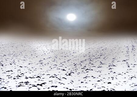 Agricoltura sul confine di autunno e inverno. Colture invernali sono state coperte con la prima neve pura, coperta di neve campo. Abbondanza di neve nelle regioni del Nord Foto Stock