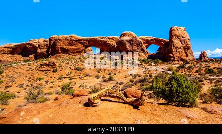 North Window Arch e South Window Arch sono due dei molti grandi archi In Arenaria nel deserto del Parco Nazionale degli Arches vicino Moab, Utah, Stati Uniti Foto Stock