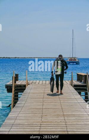 Nitrox scuba diving cammina su un molo di legno verso l'oceano per fare immersioni Foto Stock