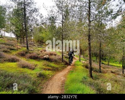 Mountain biker corre lungo un sentiero in una foresta sulle colline. Foto Stock