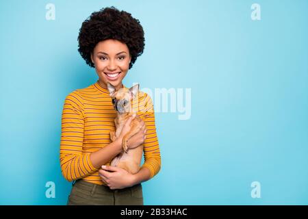 Foto di bella pelle scura ondeggiante lady tenere preferito piccolo cane domestico mani portando il migliore amico a controllare esame clinico indossare camicia a righe gialle Foto Stock