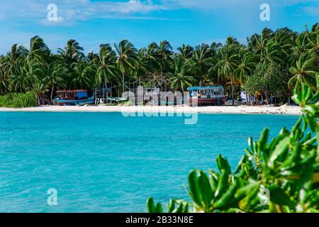 Le Maldive spiaggia di sabbia e verde fogliame palm view Foto Stock