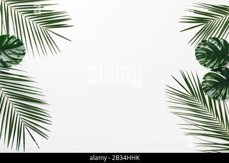 Cornice tropicale creativa di palma e Monstera foglie su bianco Foto Stock
